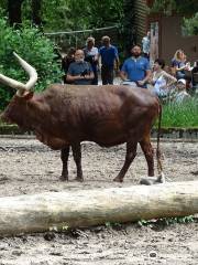 zoo di Duisburg