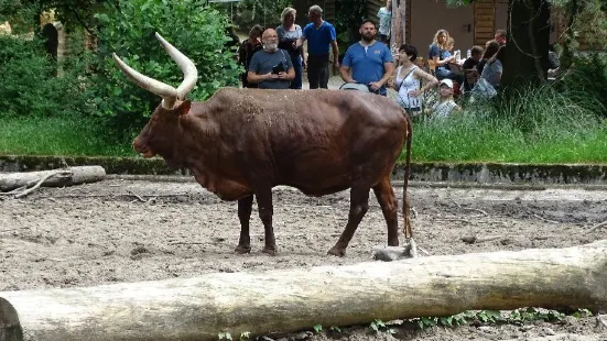 zoo di Duisburg