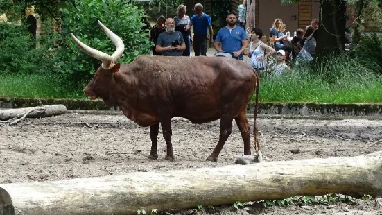 Duisburg Zoo