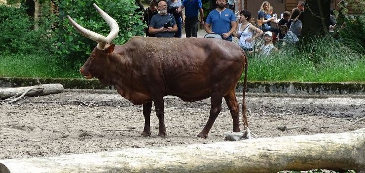 Duisburg Zoo