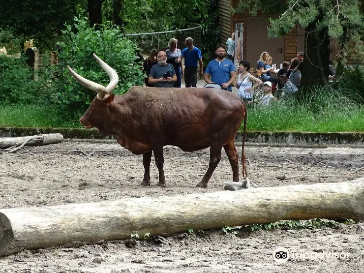 Duisburg Zoo