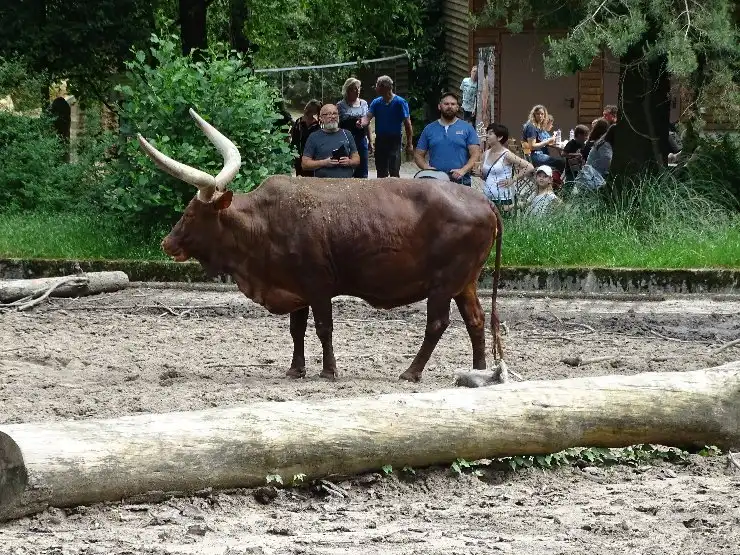 Hotels in der Nähe von Zoo Duisburg