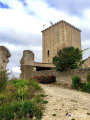 Donjon de Moncontour