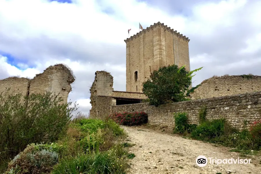 Donjon de Moncontour