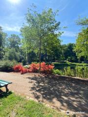 Rhododendronpark Bremen