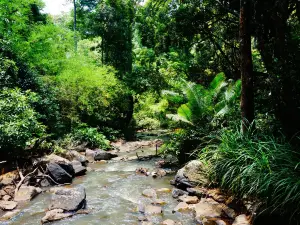 Mondulkiri Elephant & Wildlife Sanctuary - L.E.A.F Cambodia