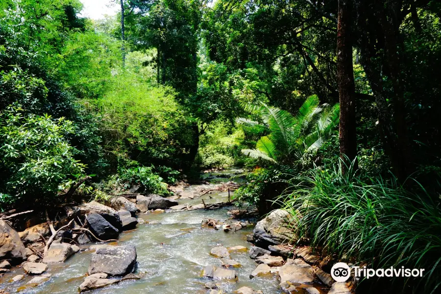 Mondulkiri Elephant & Wildlife Sanctuary - L.E.A.F Cambodia