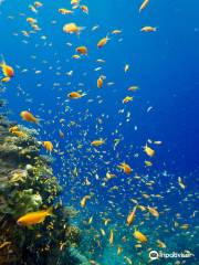 Deep Blue Divers Dahab