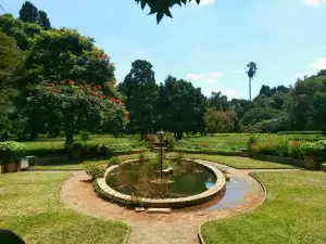 Harare Gardens