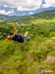 Zip Lines Adventures by Runners Adventures