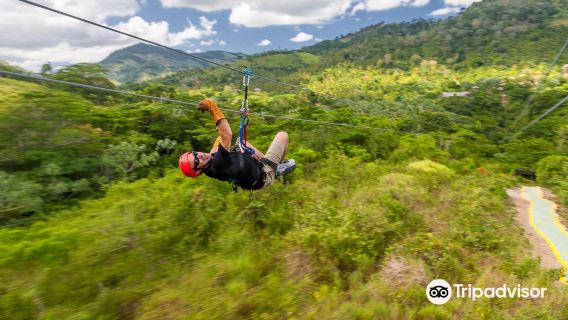 Zip Lines Adventures by Runners Adventures