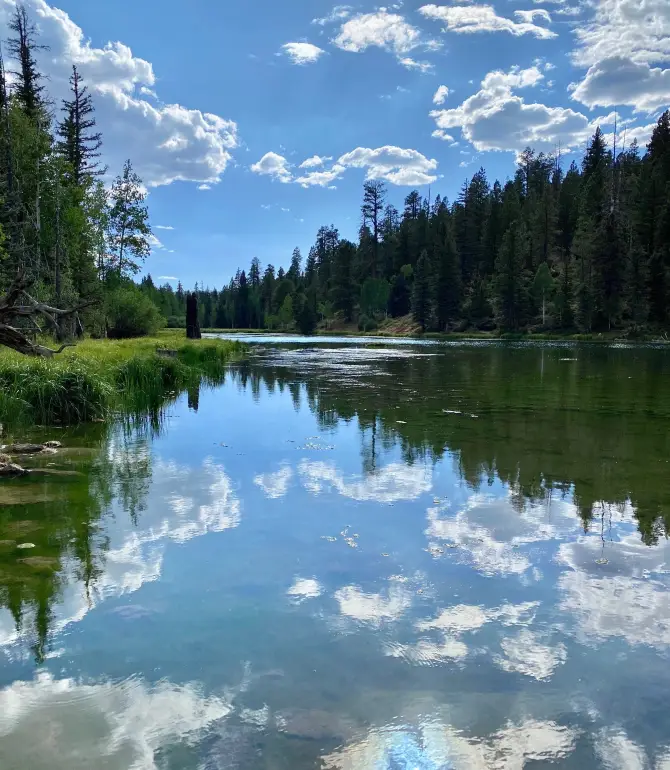 Duck Creek Village
