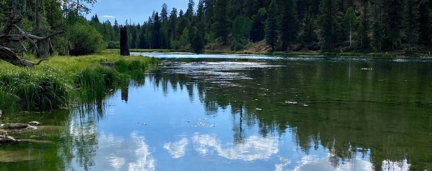 Aspen-Mirror Lake