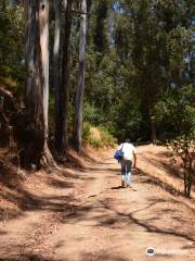 Claremont Canyon Regional Preserve