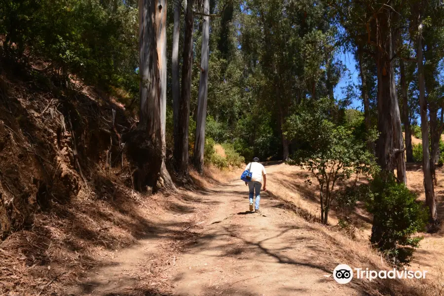 Claremont Canyon Regional Preserve