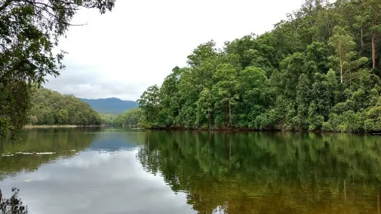 Toonumbar National Park