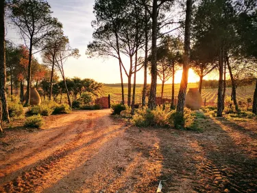 La Mancha