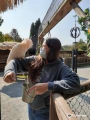 ジャングル・エクスペリエンス動物園