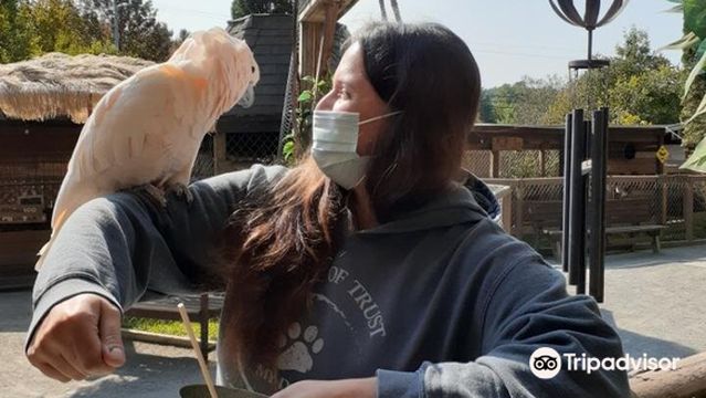 Jungle Experience Zoo