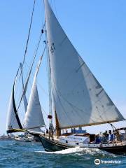 San Diego Sailing Adventures - Sail Liberty