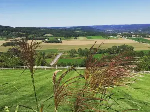 Highland Forest County Park