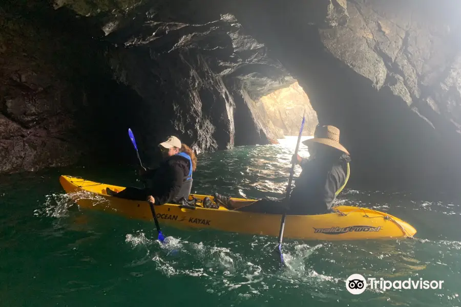 Kayak Mendocino