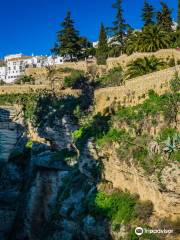 Jardines De Cuenca