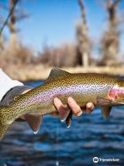 Trout Stalkers - Outfitter and Fly Shop