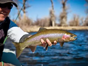 Trout Stalkers - Outfitter and Fly Shop