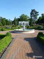 Hamann Rose Garden