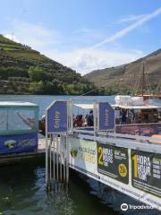 Magnifico Douro