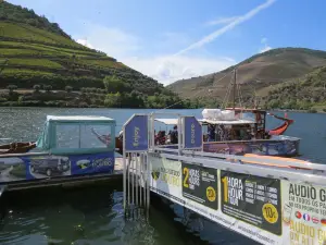 Magnifico Douro