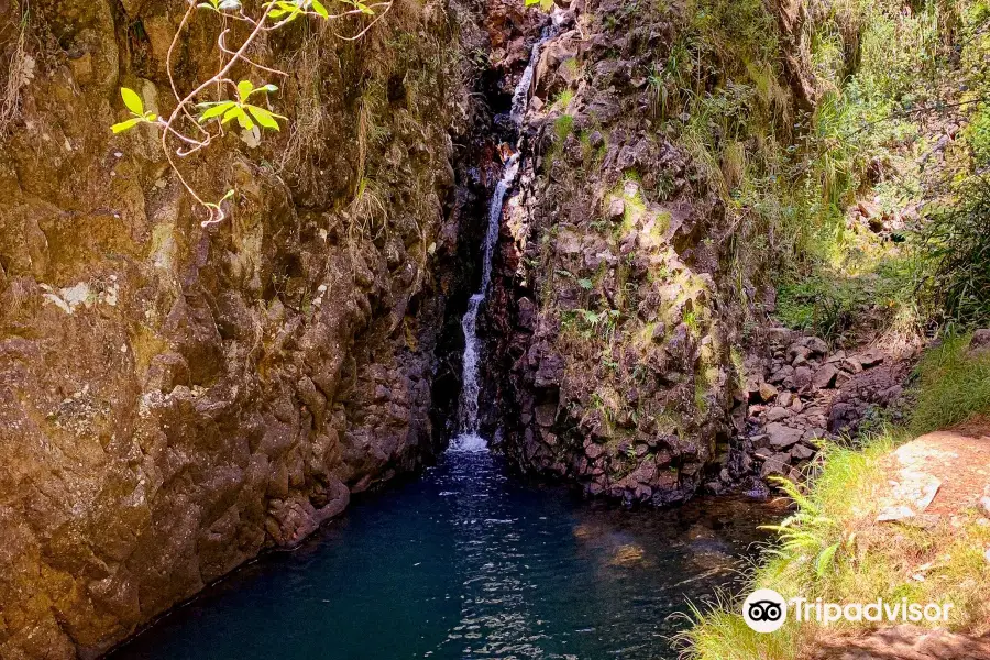 Pauanui Waterfall