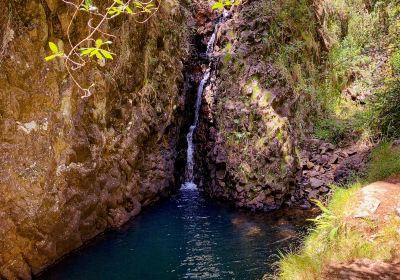 Pauanui Waterfall