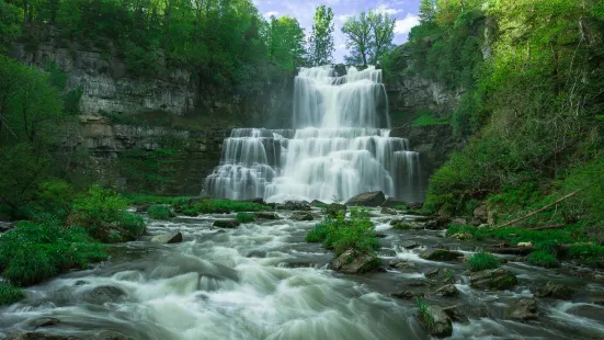 Chittenango Falls State Park