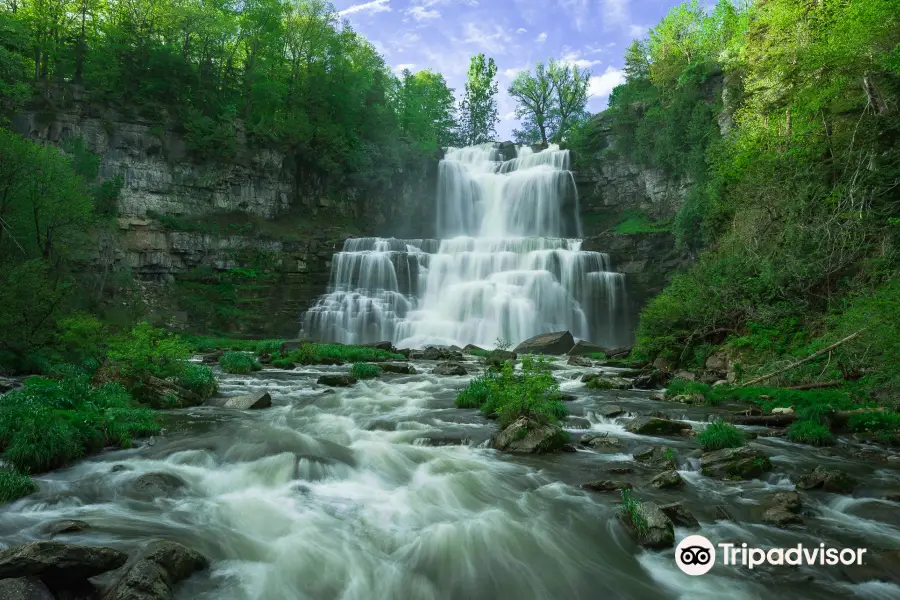 Chittenango Falls State Park