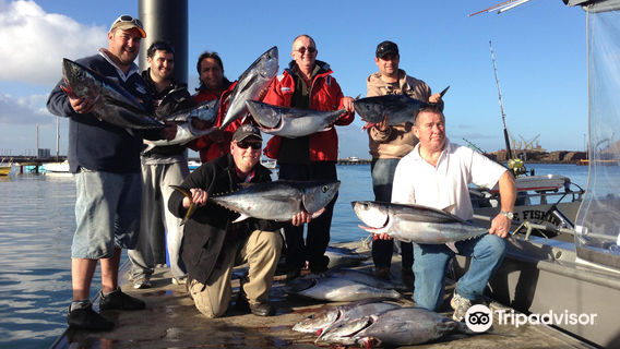 Gone Fishing Charters