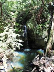 Sempervirens Falls