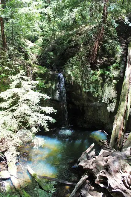 Hotels near Sempervirens Falls