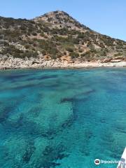 Blue Passion South Sardinia Diving