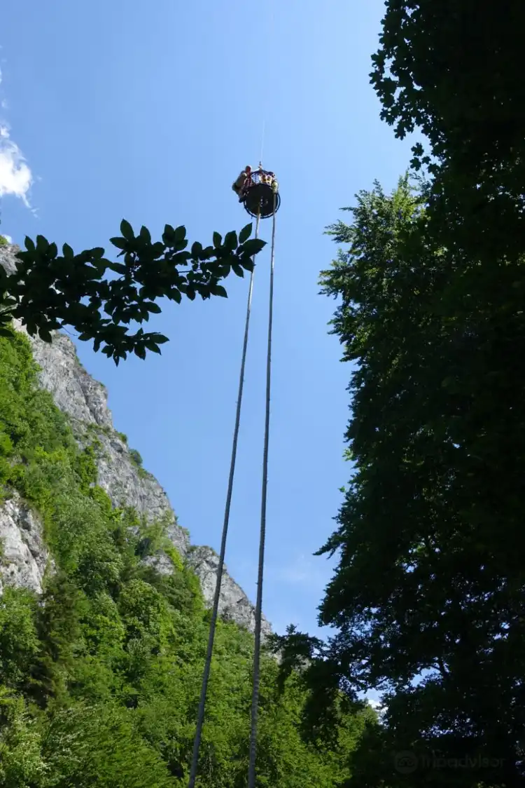 Hoteles en Rasnov