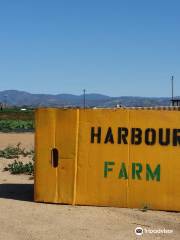 Harbour Farm & Vineyard