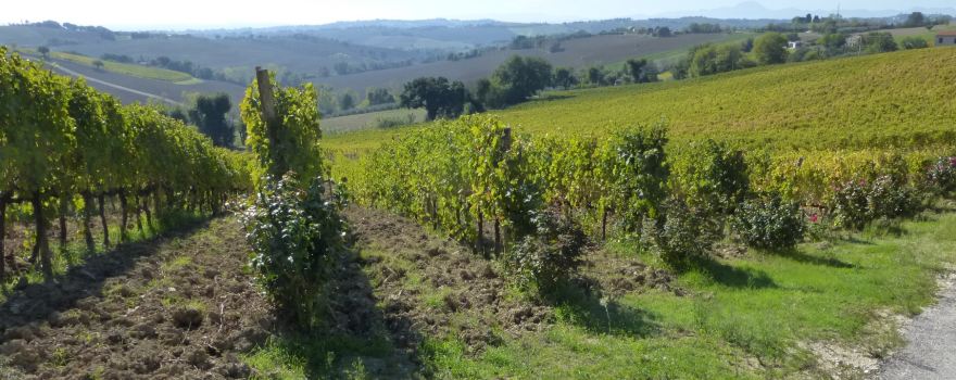 Podere Santa Lucia