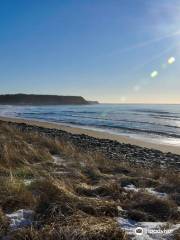 Lawrencetown Beach