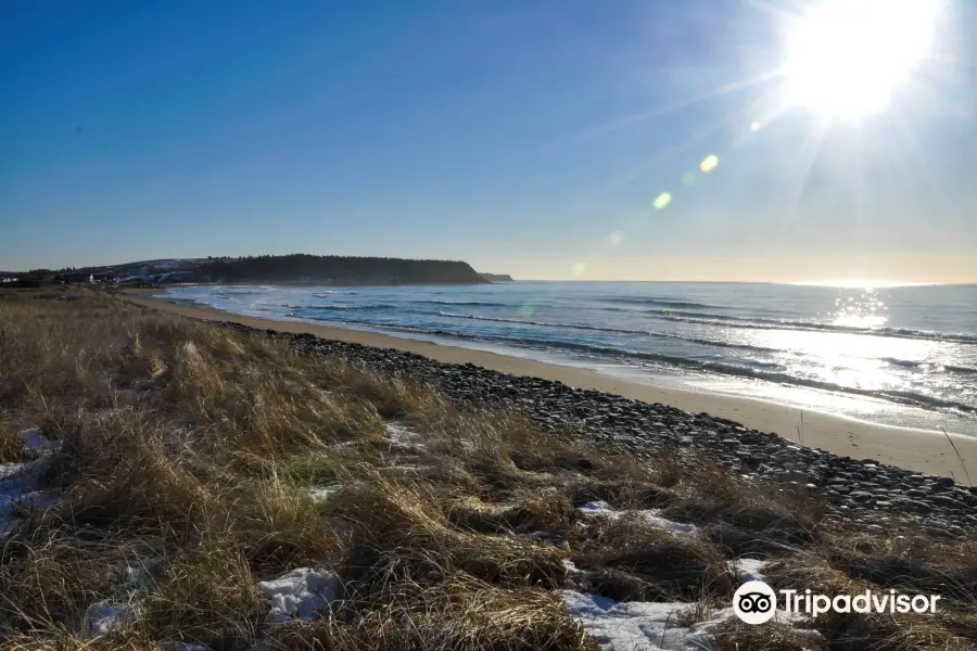 Lawrencetown Beach Provincial Park