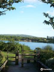 Astbury Mere Country Park