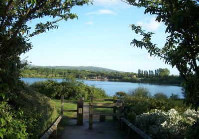 Astbury Mere Country Park