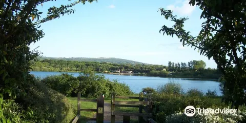 Astbury Mere Country Park