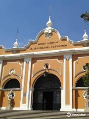 Museo Nacional de Arte Maya - Arqueología y Etnología