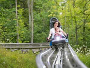 Ridge Runner Mountain Coaster